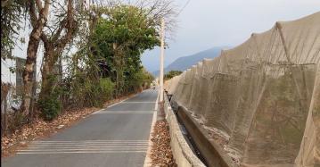 新埤鄉雙面路農地(萬285)屏東買賣土地