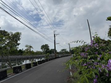 竹田休閒小農地(竹386)屏東買賣土地