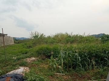 楠西精華/建商首選大建地B  台南新營土地