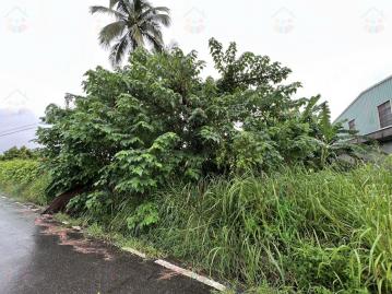 台南買賣土地 大內7米路1分3農地