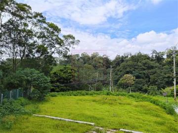 新竹徵收地 春明地產~新竹縣北埔鄉六塘落羽松美農地