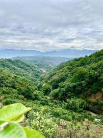 新竹徵收地 春明地產 新竹縣芎林鄉鹿寮坑柑橘園農地