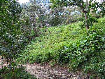 新竹徵收地 春明地產~新竹市大湖路167景觀休閒地(1)