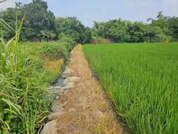 新竹徵收地 春明地產 新竹竹東鎮68快速道路旁一般農業區農地