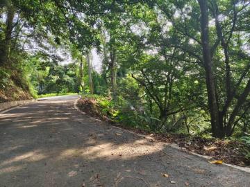 春明地產 新竹縣峨眉鄉社寮坑大面積農地+林地+丙建+路地