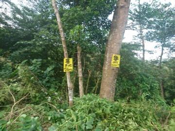 新竹徵收地 春明地產 新竹縣橫山鄉竹30鄉道休閒農地