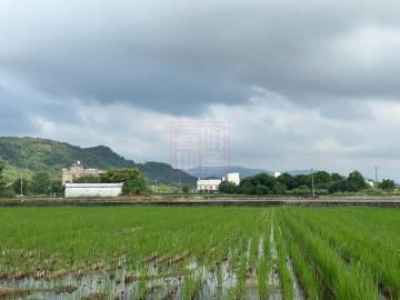 新竹徵收地 春明地產 新竹縣竹北市未來之星(璞玉田)農地