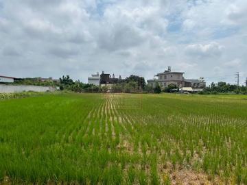 新竹徵收地 春明地產 新竹縣湖口鄉新湖國中旁農地