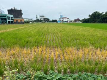 新竹徵收地 春明地產 新竹縣竹北市正隆紙廠旁農地