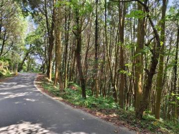 新竹徵收地 春明地產 新竹縣橫山鄉豐鄉梢楠樹農林地