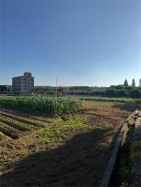 新竹徵收地 春明地產 新竹縣新豐鄉高爾夫球場旁方正農地