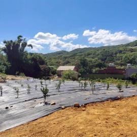 新竹徵收地 春明地產新竹縣湖口鄉再興高球場旁小坪數農地 