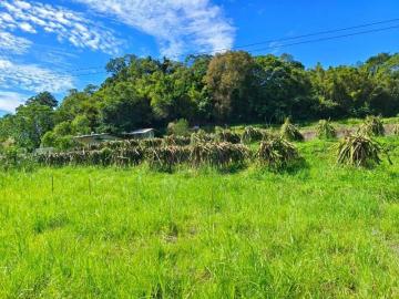 新竹徵收地 春明地產 新竹縣峨眉鄉中盛火龍果園