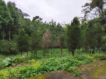 新竹徵收地 春明地產 新竹縣芎林鄉中坑丙建+農地
