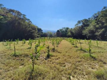 新竹徵收地 苗栗縣三灣鄉北埔丙建+農+林+水利景觀地