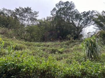 新竹徵收地 春明地產 新竹縣芎林鄉鹿寮坑大坪數林地