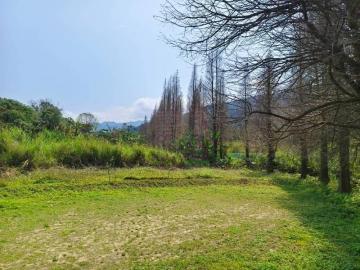 新竹徵收地 春明地產 新竹縣橫山鄉橫山街落羽松美農地