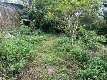 新竹徵收地 春明地產 新竹縣峨眉鄉峨眉湖露營區休閒地