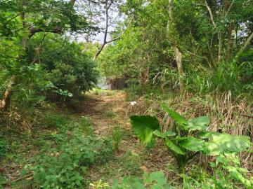 新竹徵收地 春明地產 新竹市青草湖風景地(1)