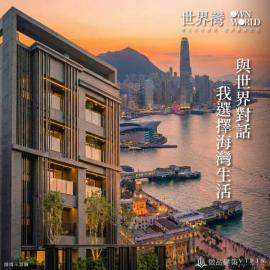 亞灣絕版全新臨路電梯面寬雙效店墅 泰揚房屋