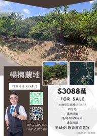 房大叔❤️楊梅❤️瑞坪段美農地