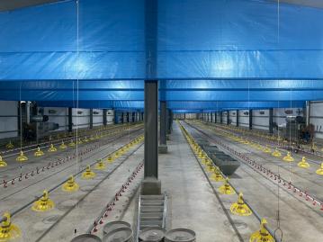 台南土地透天 台南鹽水 水簾式 設備齊全 合法雞舍