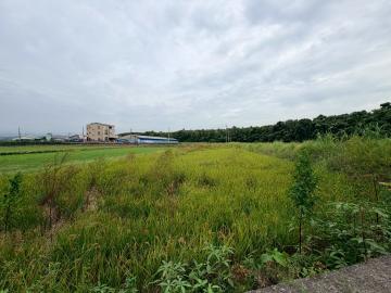 台南土地透天 柳營果毅後252坪休閒農地 柳營土地