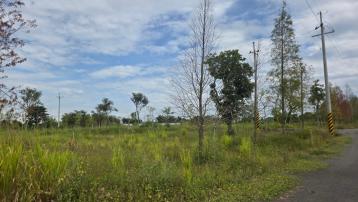 台南土地透天 大內合法露營休閒農地