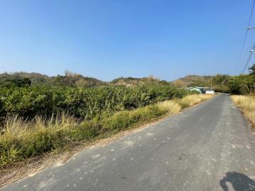 台南土地透天 大內嗚頭近84芭樂園