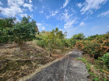 台南土地透天 大內182線休閒渡假露營農地