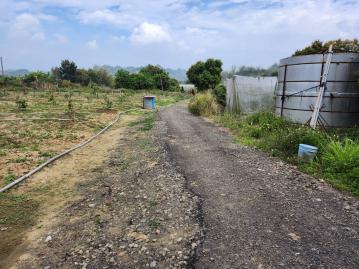 台南土地透天 大內口林休閒渡假景觀台農地
