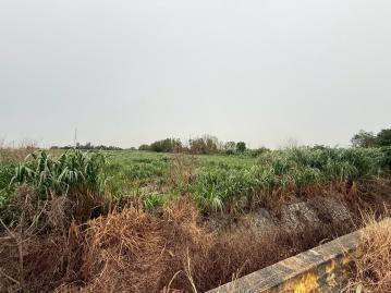 台南土地透天 柳營1.1分小小金農地