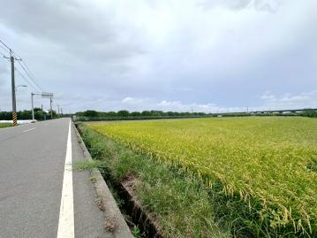 台南土地透天 下營近快速道路有水有電文旦園