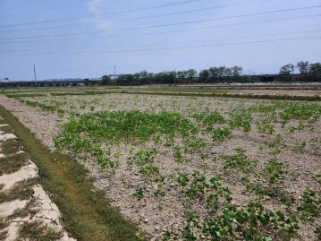 台南土地透天 烏山頭交流道下都計農業地