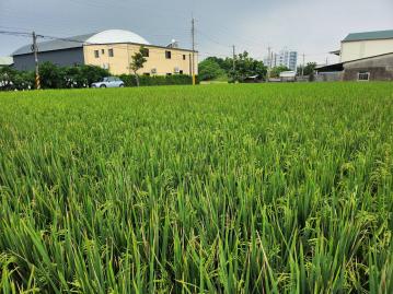 台南土地透天 善化南科南北6米路美農地