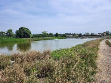 台南土地透天 官田南廍24米道農地