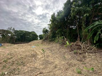 台南土地透天 山上水道靜耕地