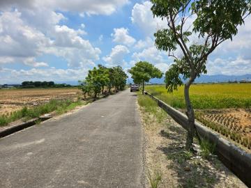 後壁區新港東優質農地