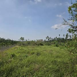 苓雅買房賣屋  農地|屏東新埤3.3分農地|臨10米台189