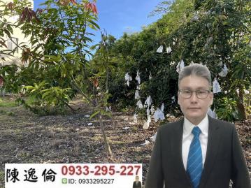 永安近新台17線環湖超吸睛美農地 岡山區買賣房