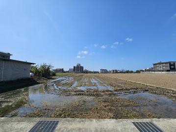 竹北30米大面寬方正美田 附合法資材室 ❤️燕子報喜❤️