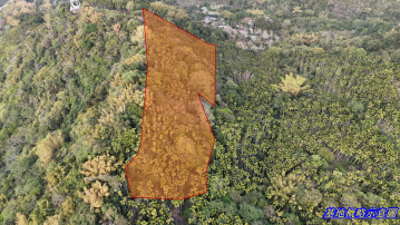 草屯雙冬山茶1甲低總價168萬農地 南投土地買賣