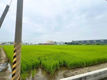 新港新民路邊農地