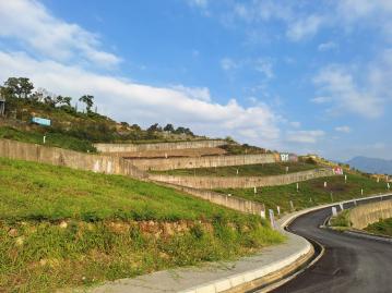 棕梠湖球場別墅建地A1