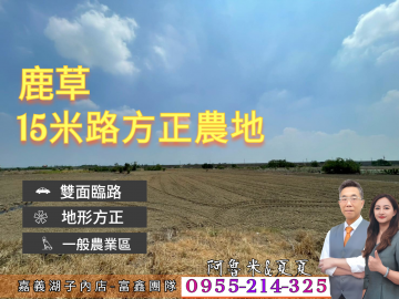 鹿草15米路農地