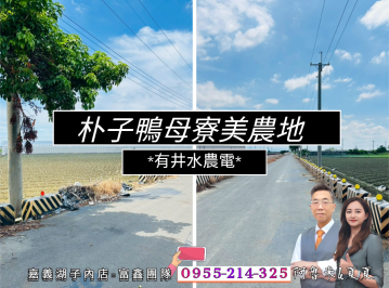朴子鴨母寮美農地/大面寬121米/有電井水