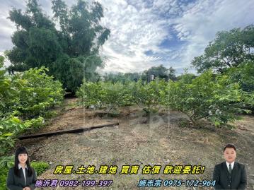 彰化房仲網 埤頭方正建地+平房