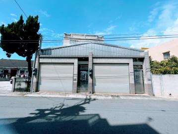 土庫雙人巷鄉村別墅5房(一)