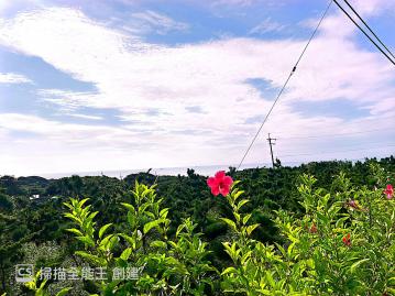  K032富貴角雙面臨路優質農地