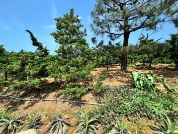  K011石門八甲隱藏版秘境寶地